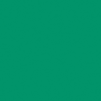 Joint carrelage vert jade - 1