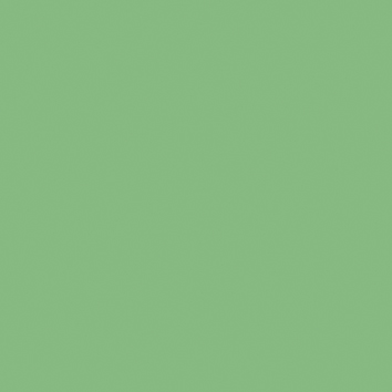 Joint carrelage vert tilleul - 1
