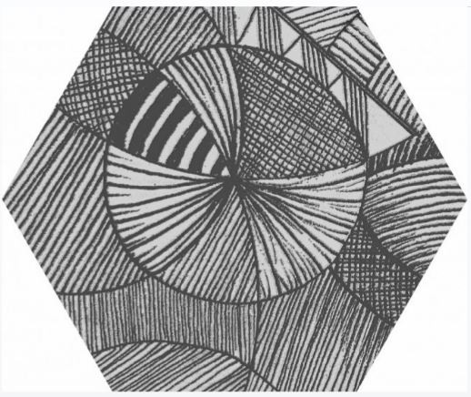 Carrelage hexagonal aspect végétal NORTH BLACK DECOR 25x30 cm - R10 - 0.935m²
