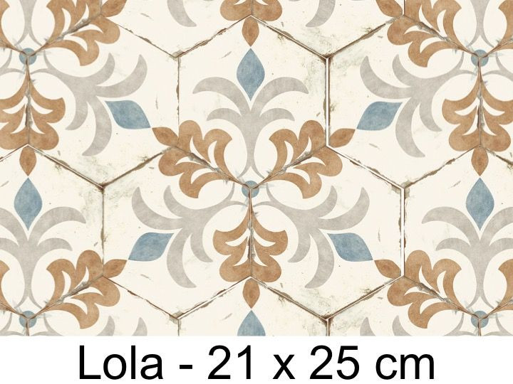 Carrelage tomette 21x25 cm BENGALINE LOLA - 0.80 m² - 3