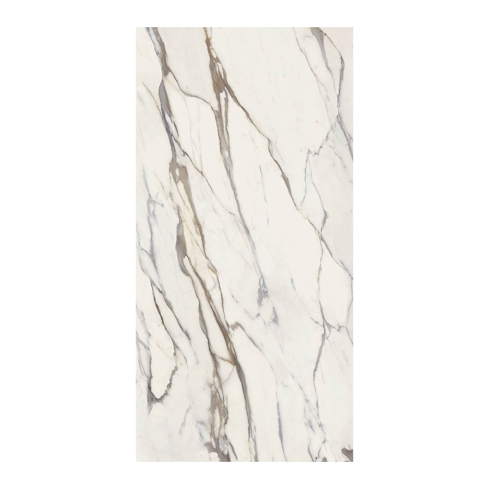 Carrelage effet marbre grand format CALACATTA GOLD POLI - 120X120 - 1,44 m² - 6