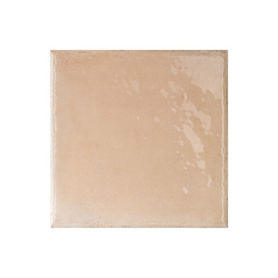 Carrelage aspect chic LE MARAIS PESCA 20x20 cm