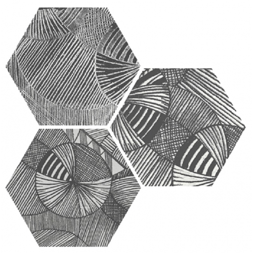 Carrelage hexagonal aspect végétal NORTH BLACK DECOR 25x30 cm - R10 - 0.935m² Apavisa