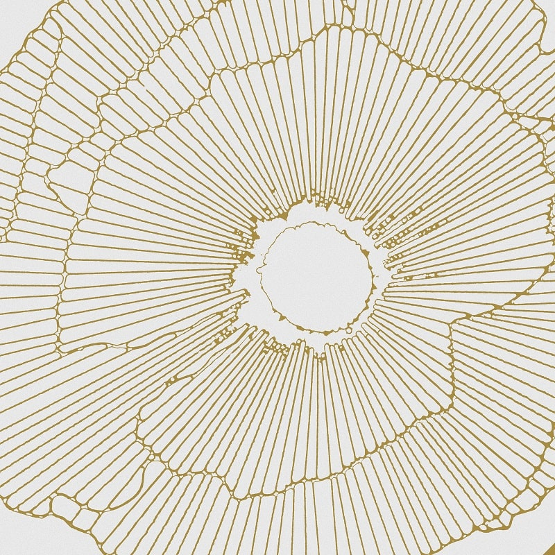 Art-Deco White Spritz Natural - Rectifié - 29x29 cm - 1,15m² - 2