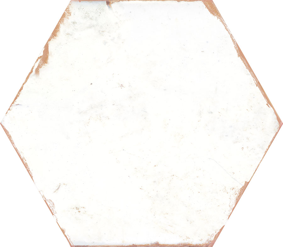 Carrelage tomette 21x25 cm BENGALINE WHITE - 0.80 m² - zoom