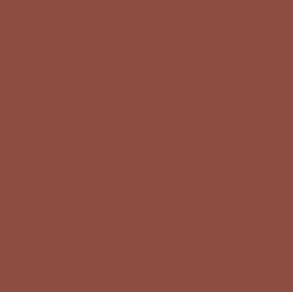 Carrelage uni coloré KINABALU ROSSET RED 20X20 - 0,52m²