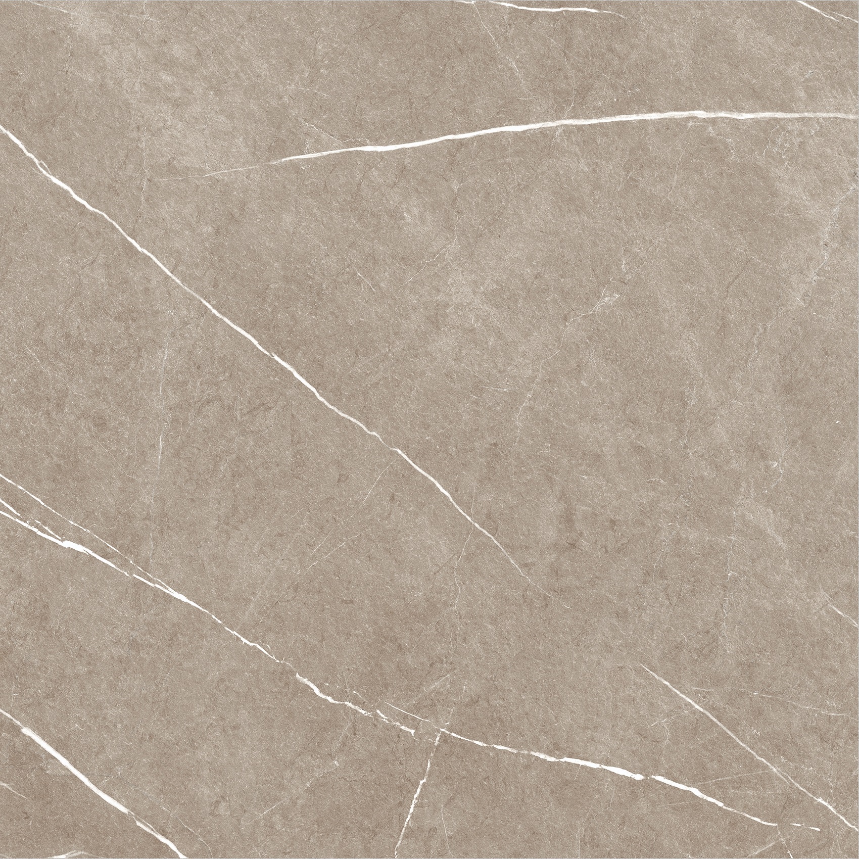 Carrelage imitation marbre ETERNEL TAUPE 60X60 - 1,08m²