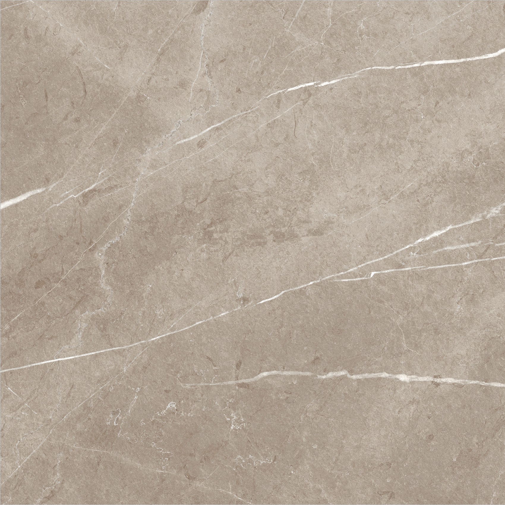 Carrelage imitation marbre ETERNEL TAUPE 60X60 - 1,08m² - 4