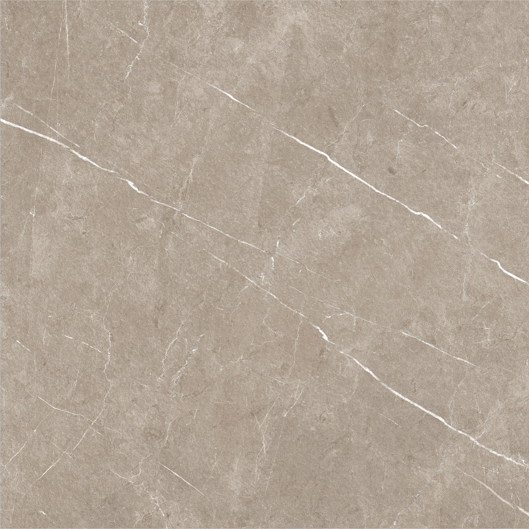 Carrelage imitation marbre ETERNEL TAUPE 60X60 - 1,08m² - 6
