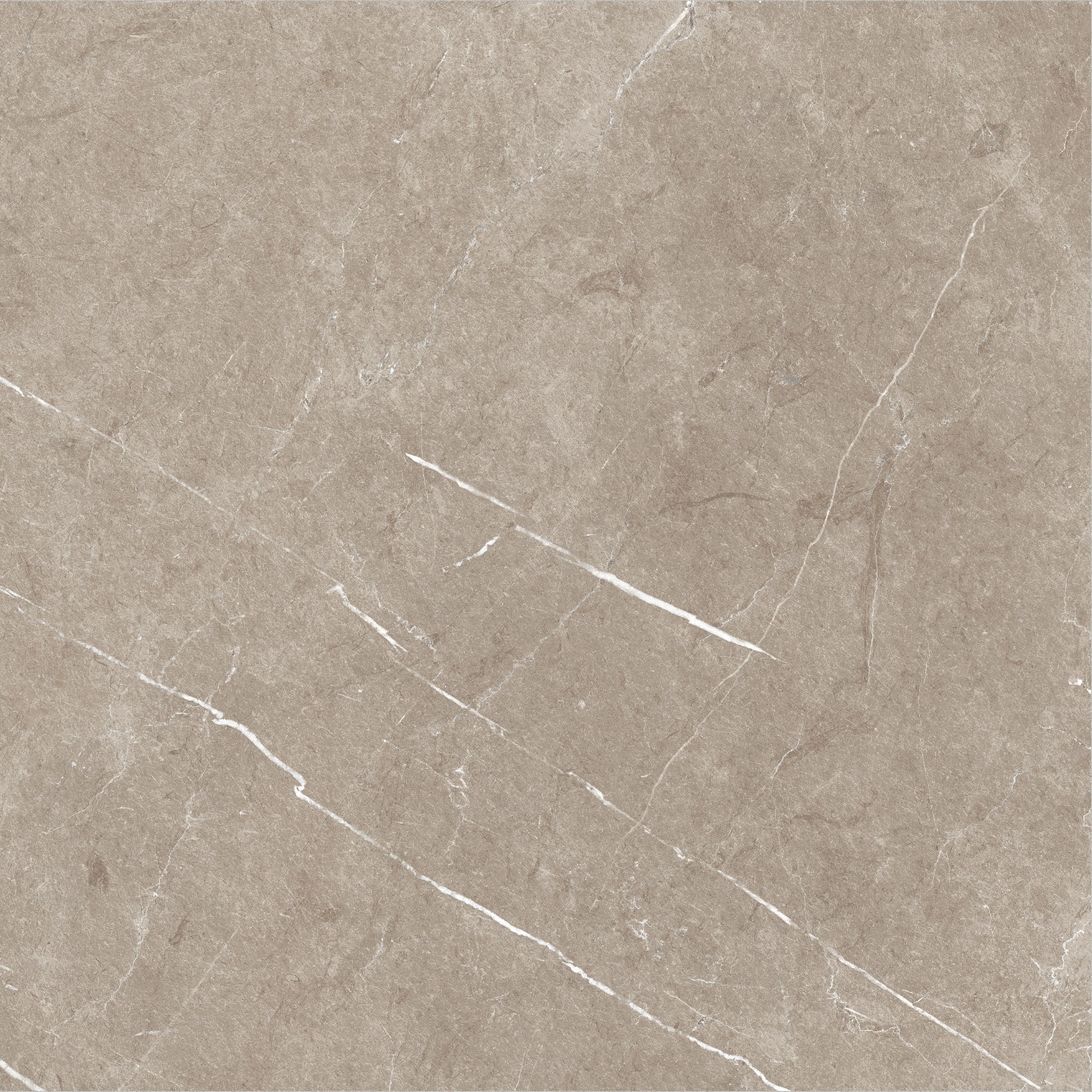 Carrelage imitation marbre ETERNEL TAUPE 60X60 - 1,08m² - 7