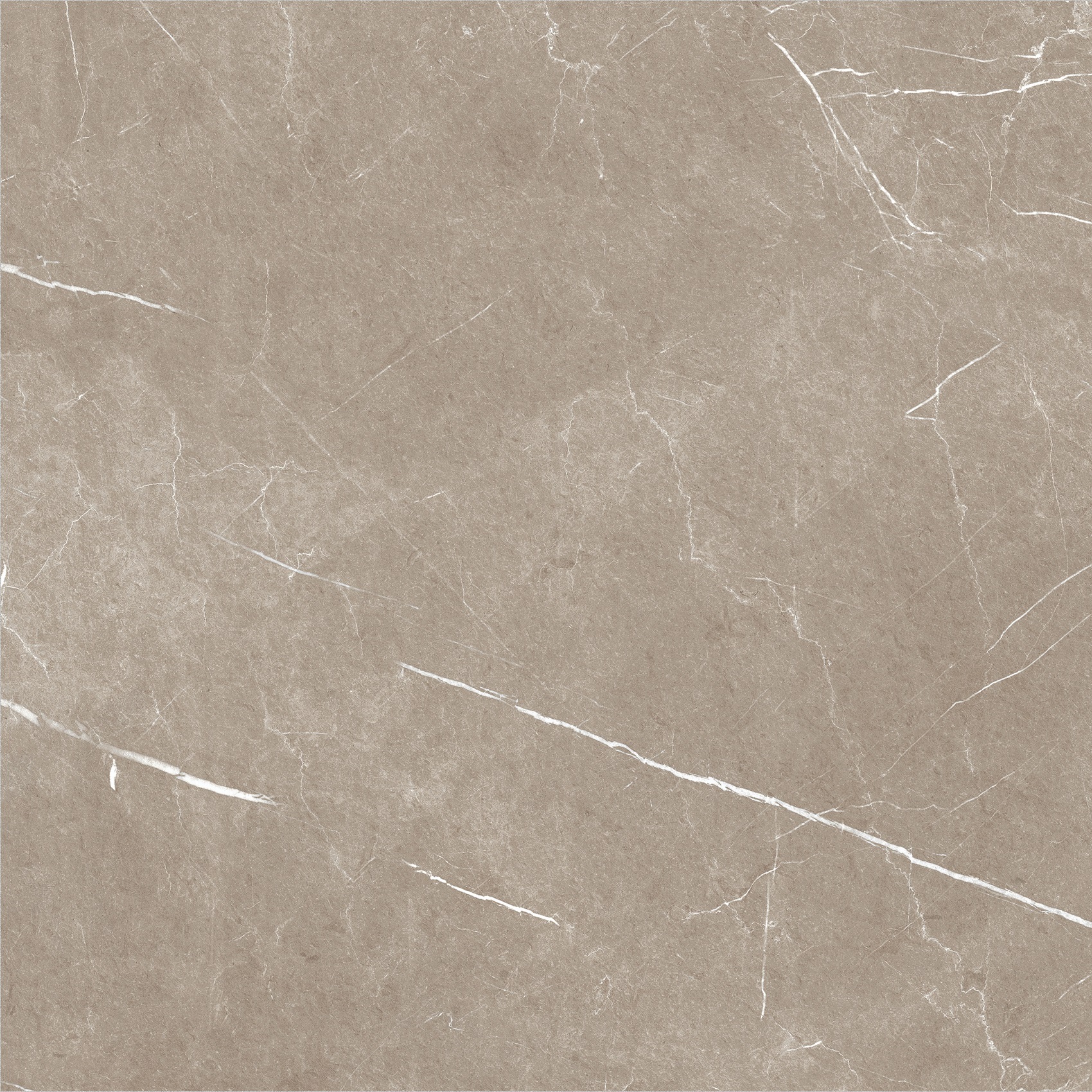 Carrelage imitation marbre ETERNEL TAUPE 60X60 - 1,08m² - 8