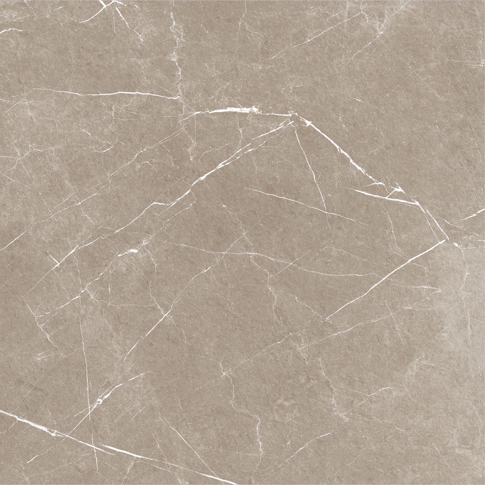 Carrelage imitation marbre ETERNEL TAUPE 60X60 - 1,08m² - 9