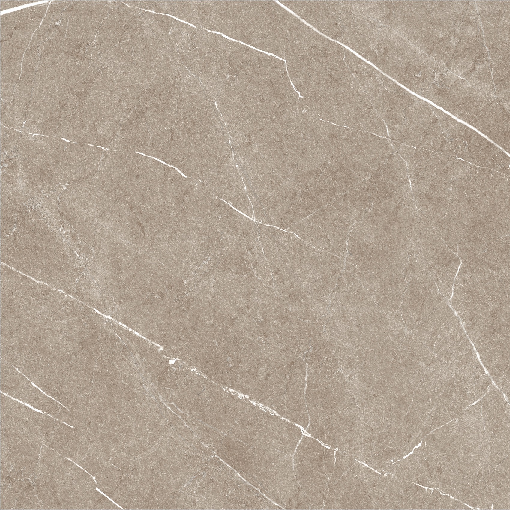 Carrelage imitation marbre ETERNEL TAUPE 60X60 - 1,08m² - 10