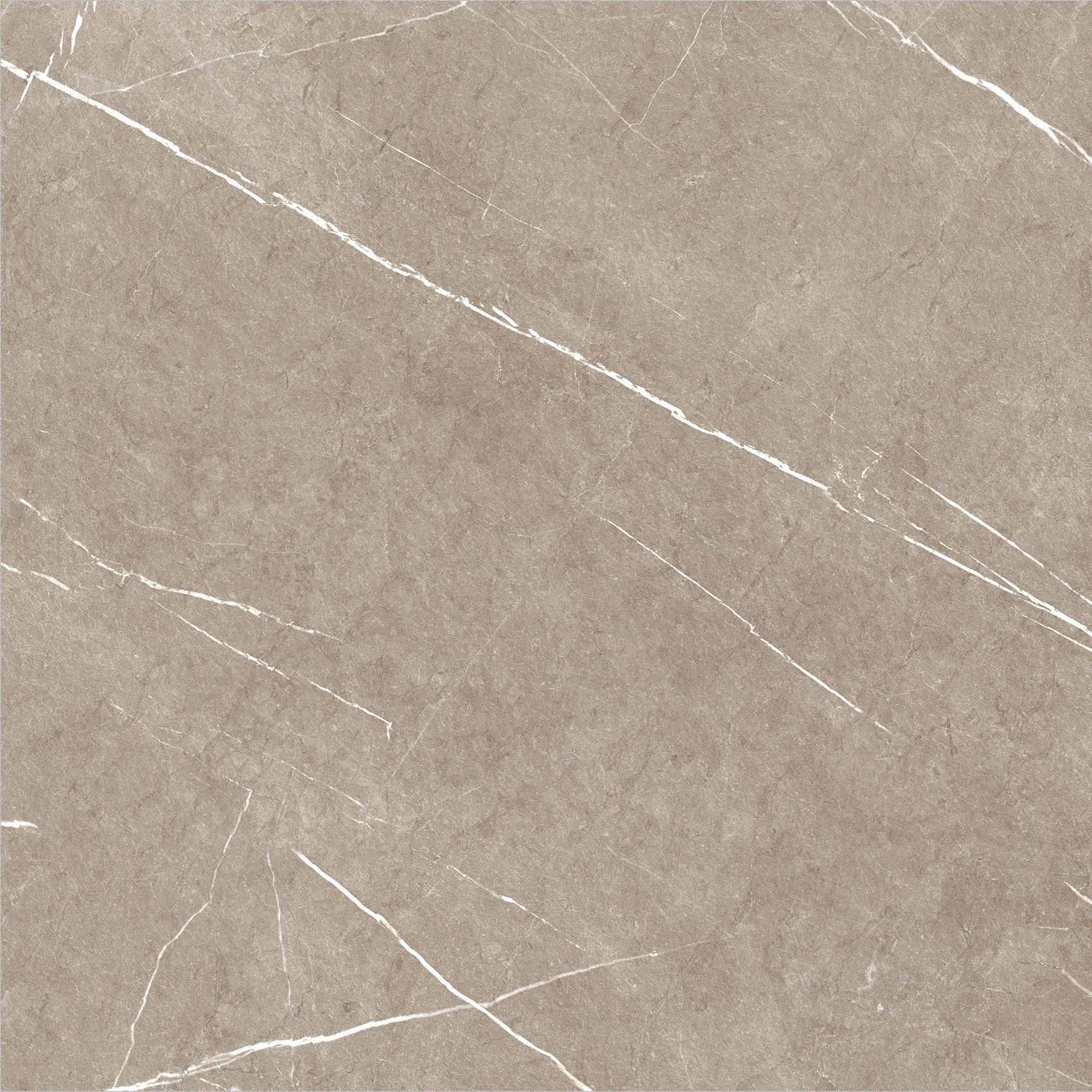 Carrelage imitation marbre ETERNEL TAUPE 60X60 - 1,08m² - 11