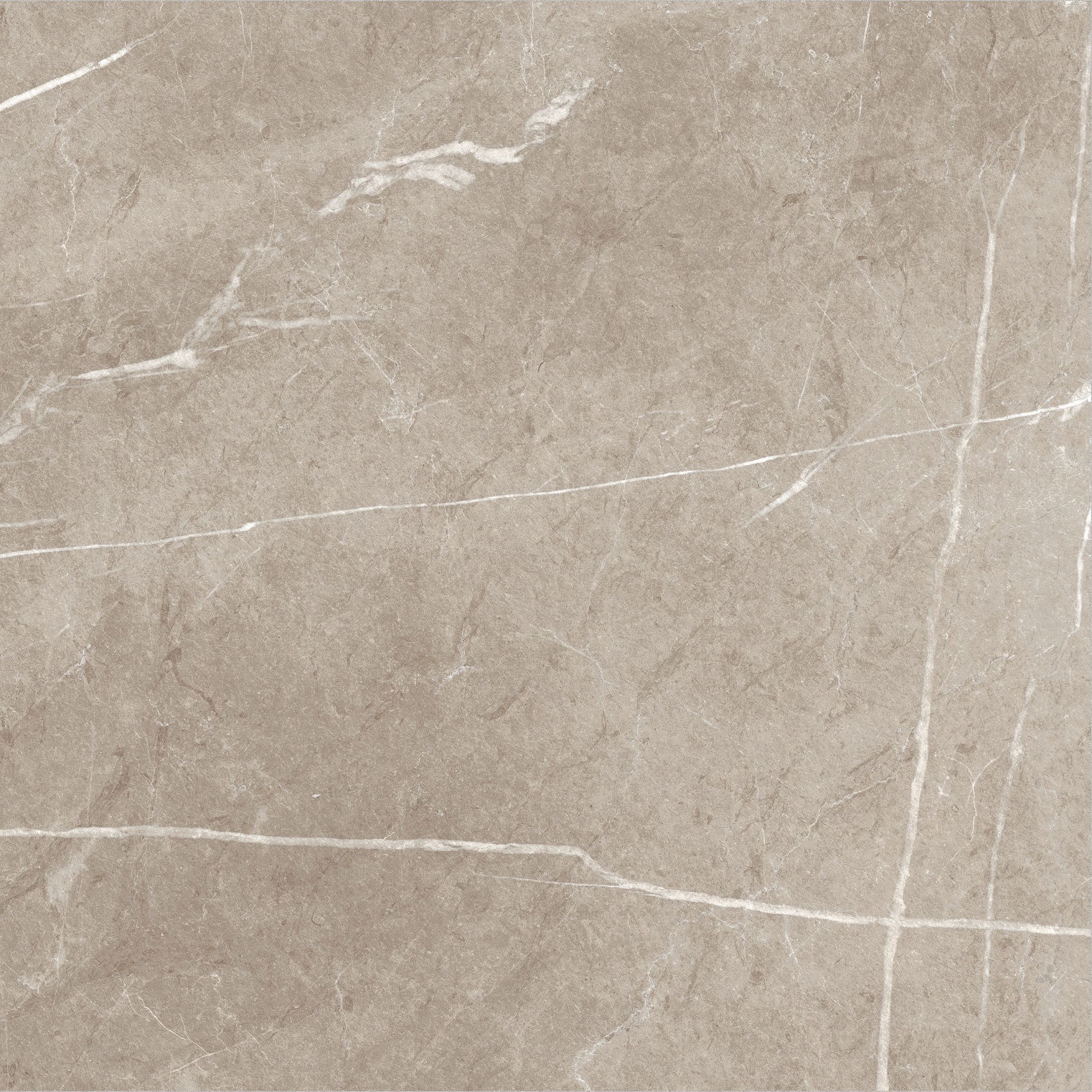 Carrelage imitation marbre ETERNEL TAUPE 120X120 - 1,44m² - 4