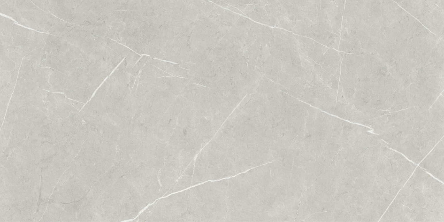 Carrelage imitation marbre ETERNEL PEARL 60X120 - 1,44m² - 6