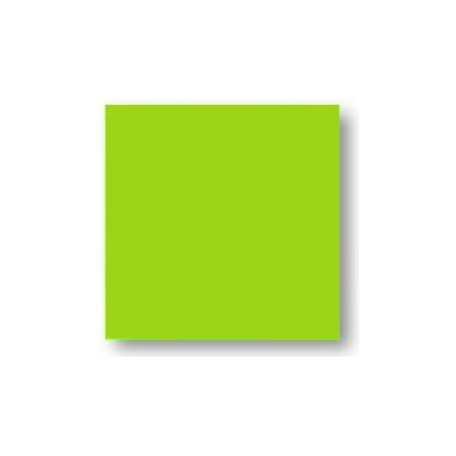Faience colorée vert Carpio Menta brillant 20x20 cm - 1m² Ribesalbes