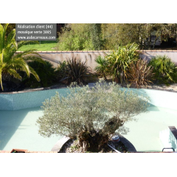 Mosaique piscine vert abysse 3005 31.6x31.6 cm - 2 m² AlttoGlass