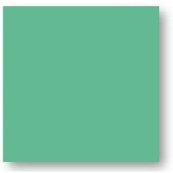Faience colorée vert foncé Carpio Verde brillant ou mat 20x20 cm - 1m² - zoom
