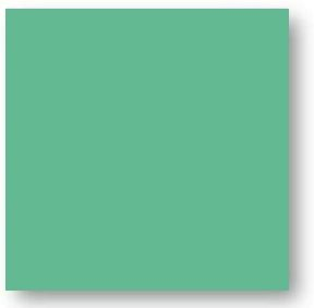 Faience colorée vert foncé Carpio Verde brillant ou mat 20x20 cm - 1m² - zoom