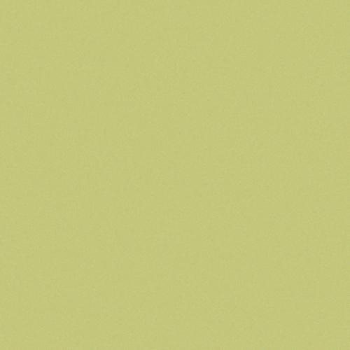 Carrelage uni 20x20 cm vert olive MELA MATT - 1.4m²