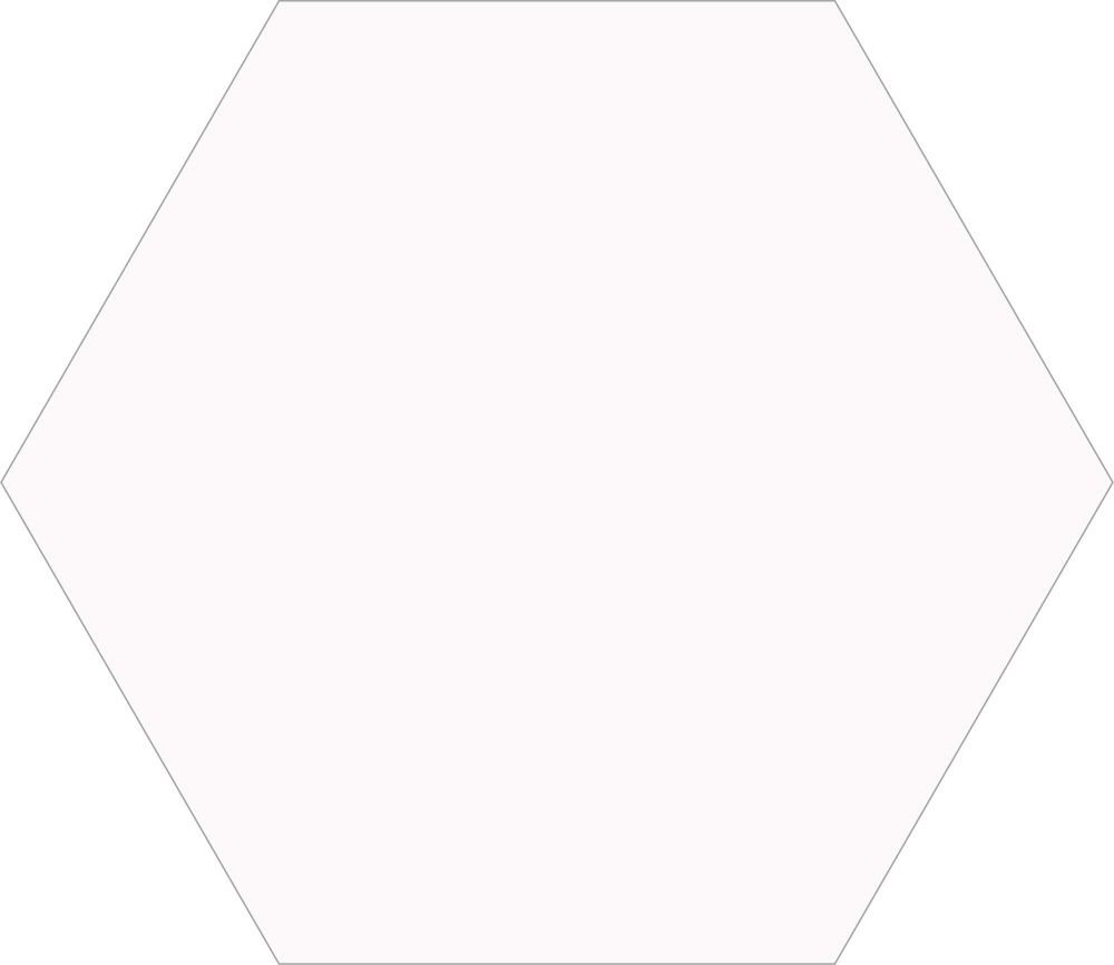 Carrelage blanc uni hexagonal à surface lisse et finition brillante adapté à divers styles décoratifs
