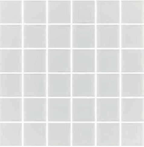 Mosaique blanche 5x5 sur trame 30.7x30.7 ANTI BLANCO B8 - 2 m² - zoom